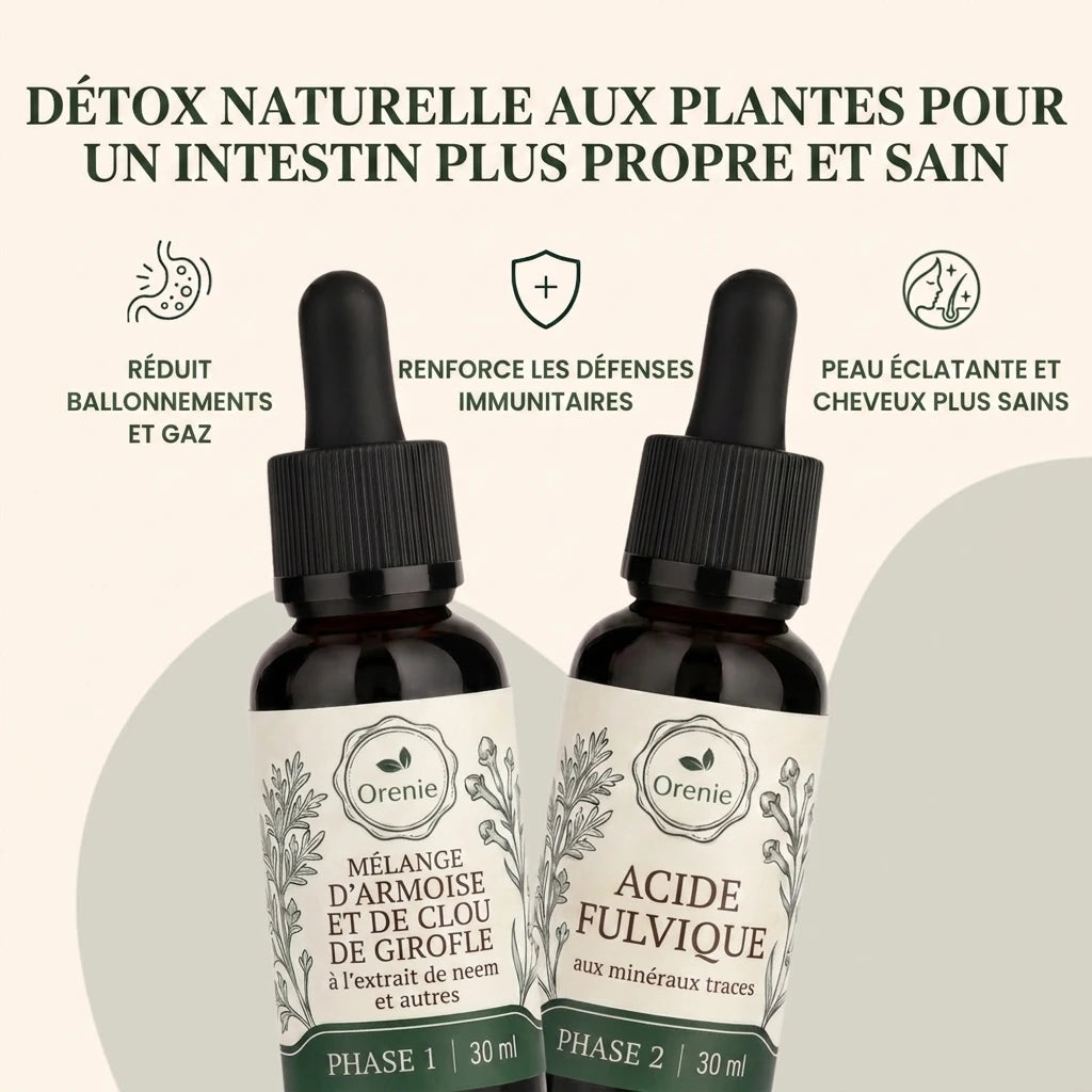 Détox naturelle aux plantes