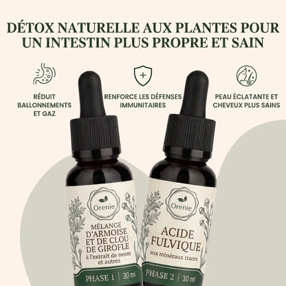 Détox naturelle aux plantes