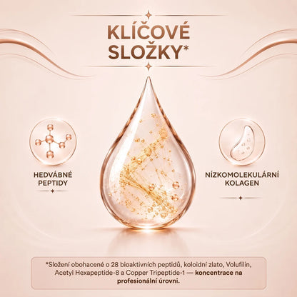 Klíčové složky